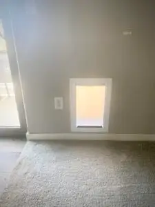 Pet Door Installation in Iowa City Area